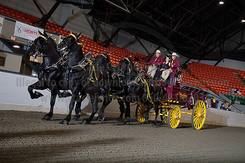 BigE_09252025_SCL1331