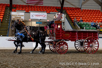 56. Percheron Team Hitch