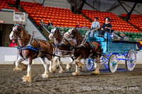 58. Clydesdale Unicorn Hitch