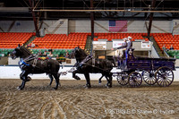 59. Percheron Four-Horse Hitch