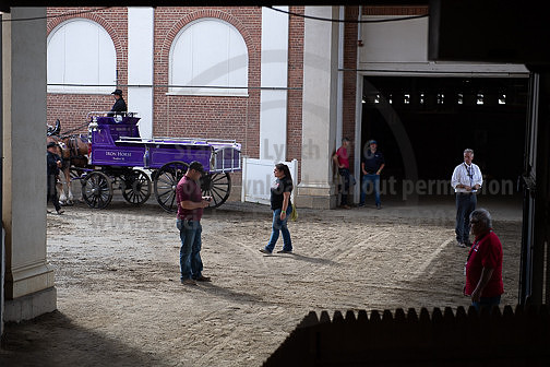 BigE_09262025_SCL1836
