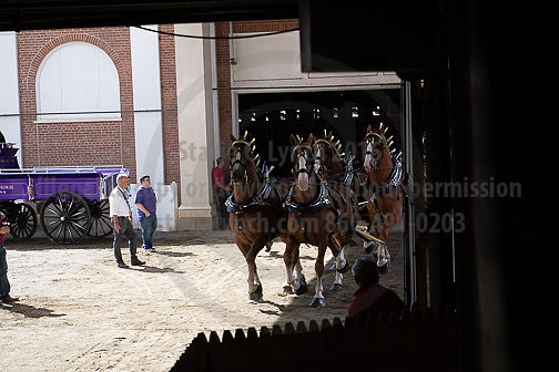 BigE_09262025_SCL1837