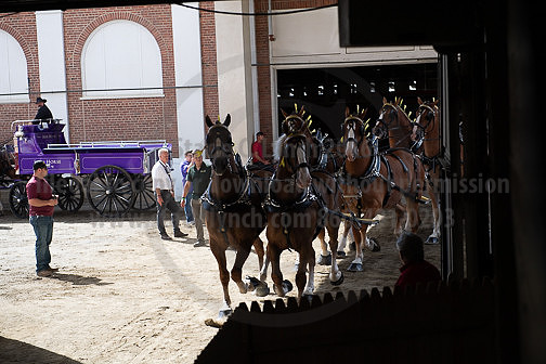BigE_09262025_SCL1838