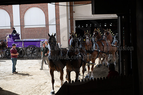 BigE_09262025_SCL1839