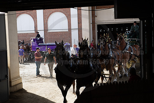 BigE_09262025_SCL1840