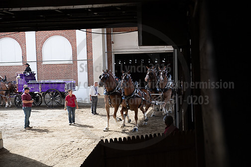 BigE_09262025_SCL1842