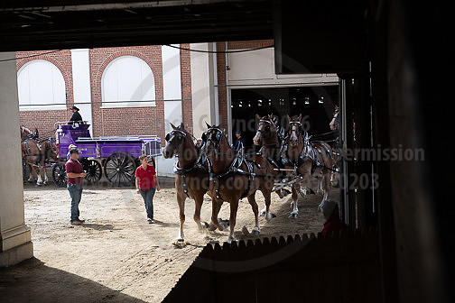BigE_09262025_SCL1843