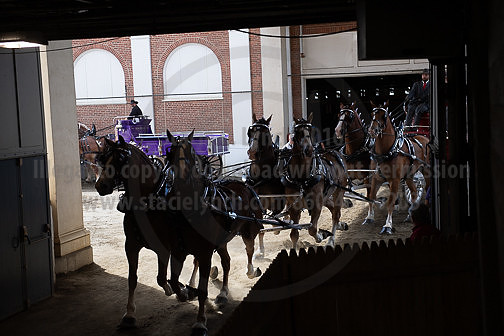 BigE_09262025_SCL1846