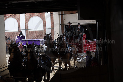 BigE_09262025_SCL1849