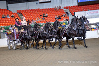 61. Draft Pony Six-Horse Hitch Series Championship - Round 1