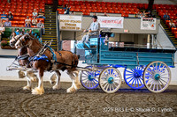 63. Clydesdale Team Hitch