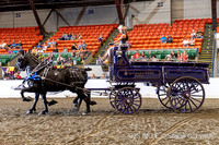 64. Open Mare Team Hitch
