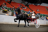 66. Draft Pony Ladies' Cart Championship - Round1