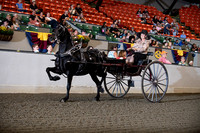 BigE_09262025_SCL1923