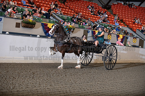 BigE_09262025_SCL1931