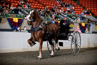 67. Belgian Men's Cart