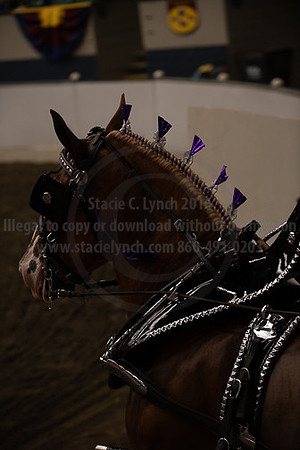 BigE_09262025_SCL2136