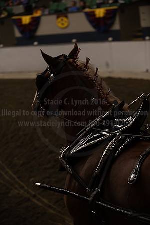 BigE_09262025_SCL2137