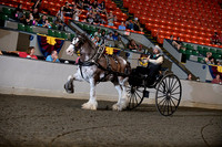68. Clydesdale Men's Cart
