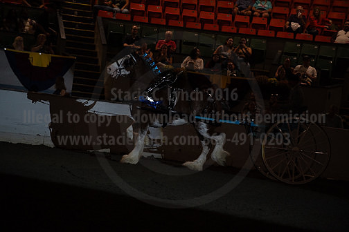 BigE_09262025_SCL2199
