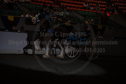 BigE_09262025_SCL2201