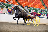 69. Percheron Men's Cart