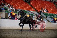 54. Classic Series Cart - All Breeds
