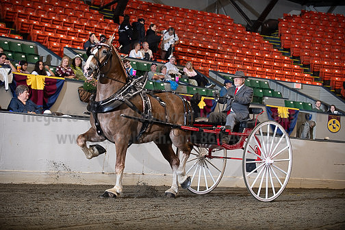 BigE_09252025_SCL0741