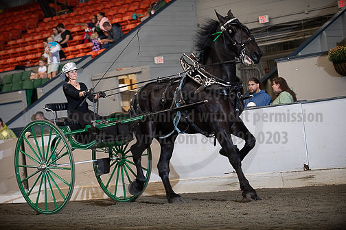 BigE_09252025_SCL0783
