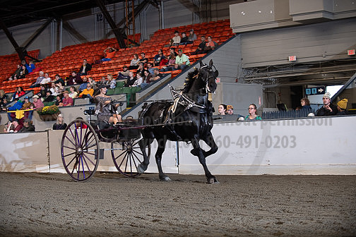 BigE_09252025_SCL0998