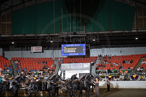 BigE_09272025_SCL2795