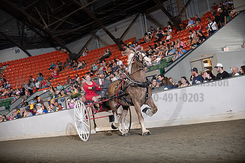 BigE_09272025_SCL3014