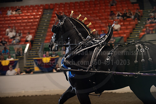 BigE_09272025_SCL3169