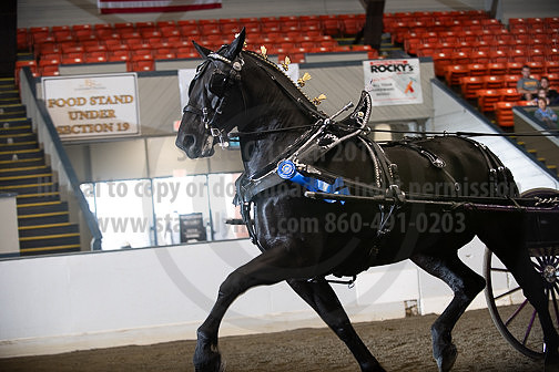 BigE_09272025_SCL3167