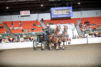 BigE_09272025_SCL3181