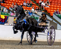 76. Open Mare Cart Class