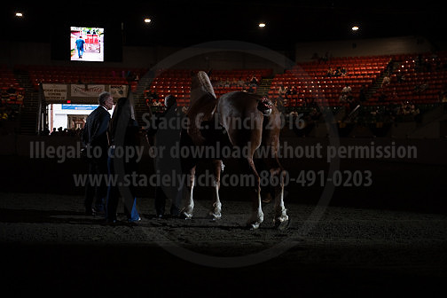 BigE_09272025_SCL3362