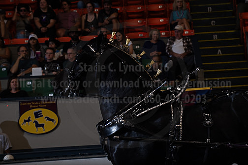 BigE_09272025_SCL3565