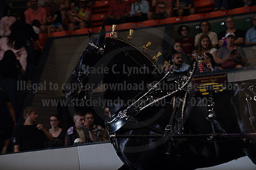 BigE_09272025_SCL3566