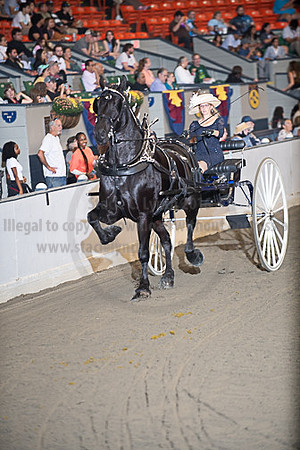 BigE_09272025_SCL3641