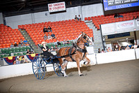 BigE_09272025_SCL3677