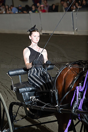 BigE_09272025_SCL3719