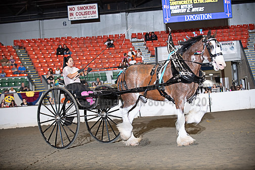 BigE_09272025_SCL3798
