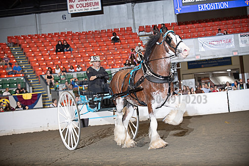 BigE_09272025_SCL3800