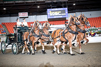 BigE_09272025_SCL3903
