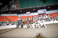 BigE_09272025_SCL3964
