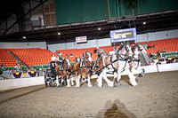 BigE_09272025_SCL3965