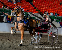 81. Belgian Ladies Cart