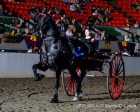 80. Percheron Ladies' Cart