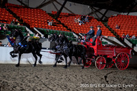 83. Percheron Unicorn
